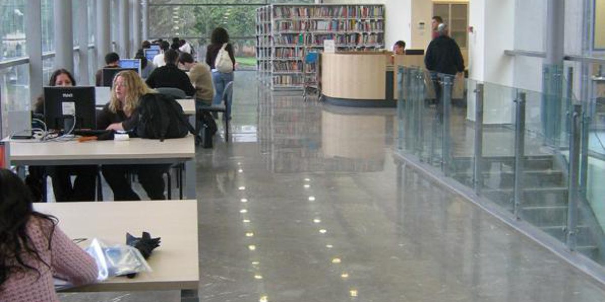 ספרייה במכללת רופין (4)